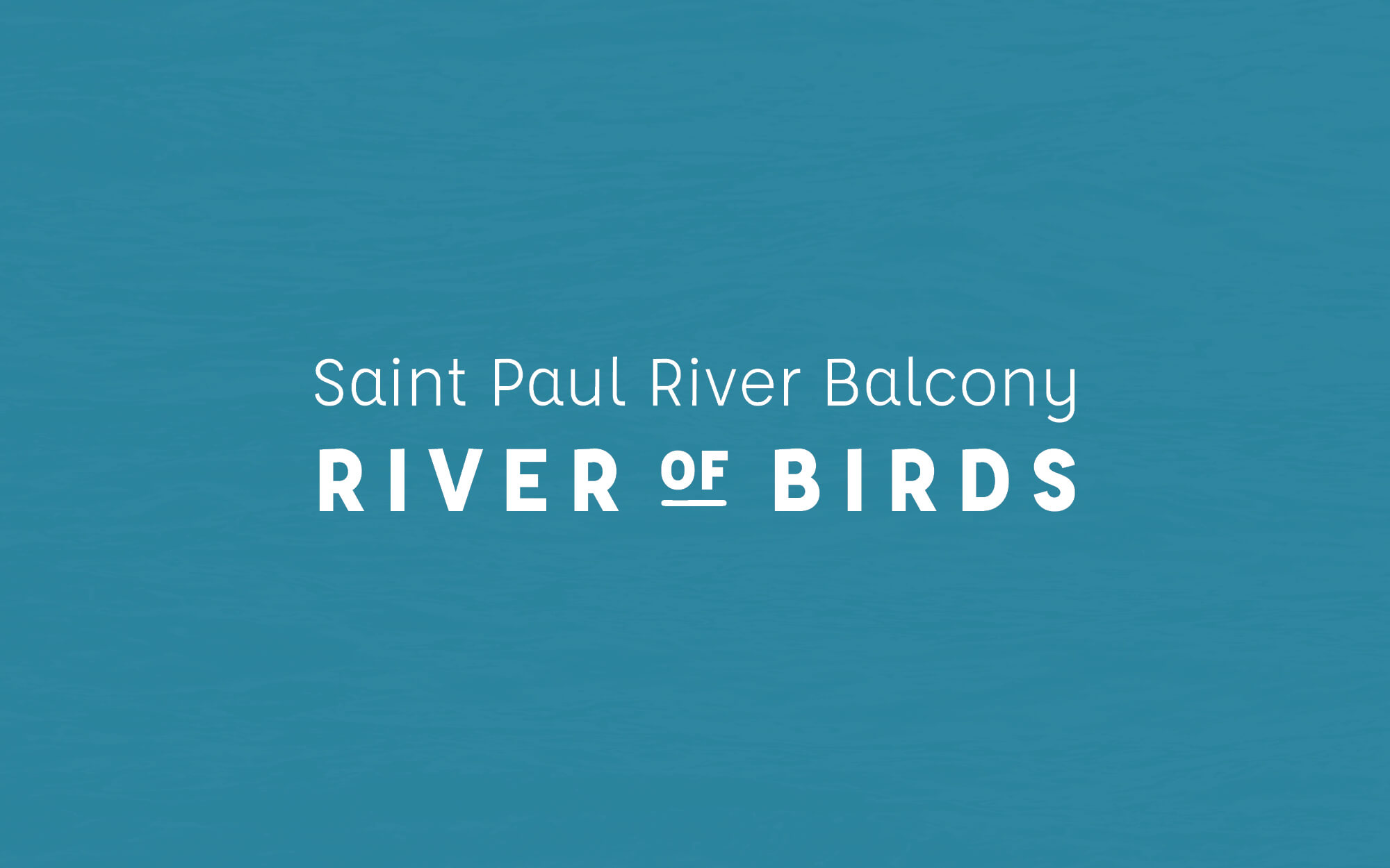 River of Birds logo image